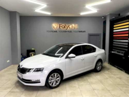 skoda oto cam filmi (2)