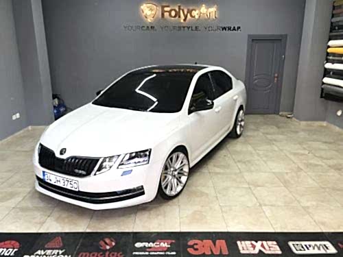 oto cam filmi maltepe skoda