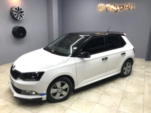 oto cam filmi maltepe skoda1