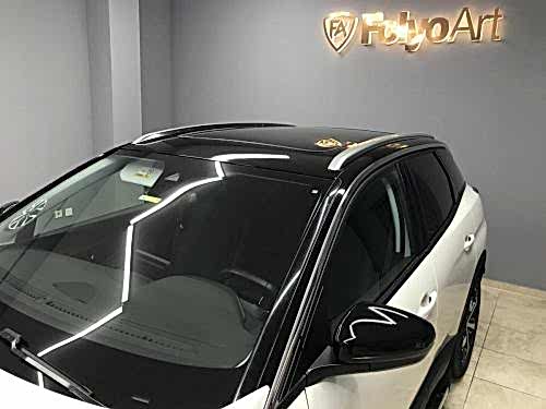 peugeot 3008 siyah tavan kaplama spoiler kaplama (4)